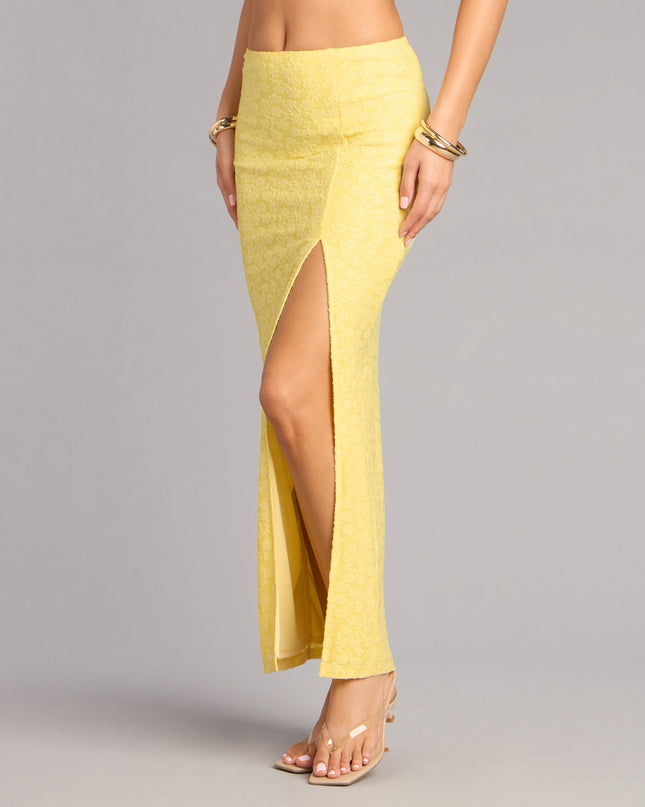 Soft Spoken Chic Flocked Lace Maxi Skirt